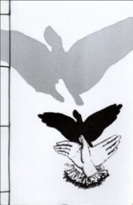 shadow-bird-cover-e1383877267280_grande